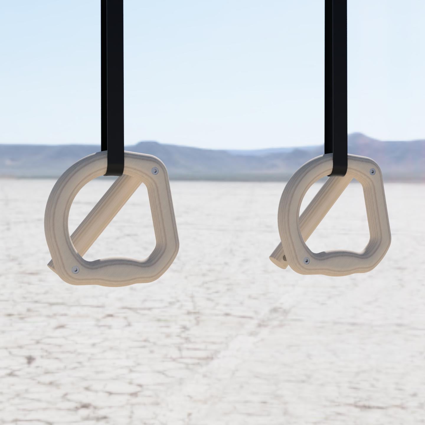 Gym Rings 3 in 1 Chunky Monkey 40mm Grip, Push Up & Pull Up Bar Parallettes image 2