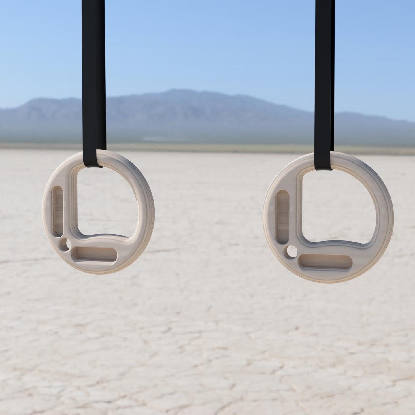 Exercise Rings with Hangboard | Wood, 32mm thick, 26mm, 16mm & 10mm edges image 0